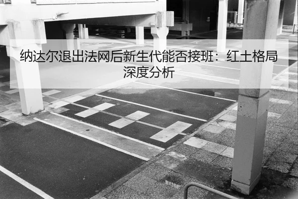 na-da-er-tui-chu-fa-wang-hou-xin-sheng-dai-neng-fou-jie-ban-hong-tu-ge-ju-shen-du-fen-xi-2-182.jpg