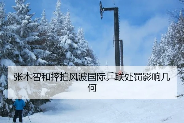 zhang-ben-zhi-he-shuai-pai-feng-bo-guo-ji-ping-lian-chu-fa-ying-xiang-ji-he-2-733.jpg